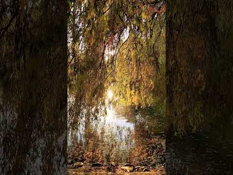 Autumn Park . Just for you. Ernesto Cortazar.