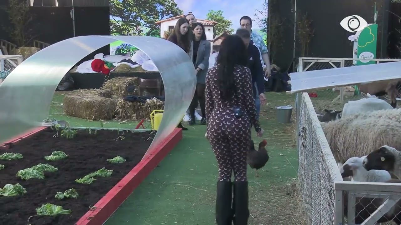 Pula arratiset nga koteci, banorët përpiqen ta kapin