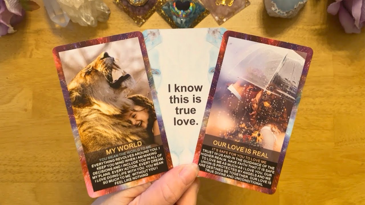 YOU MEAN THE WORLD TO ME 🩷 YOU'RE THE ONLY PERSON I'VE EVER LOVED 💕 (COLLECTIVE LOVE TAROT READING)