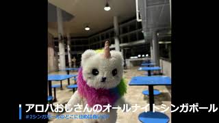 アロハおじさんのオールナイトシンガポール #2シンガポールのどこに住めばよいの？