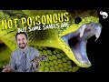 Zoologist Explains Snake Venom - Poisonous vs Venomous & How Venom Kills