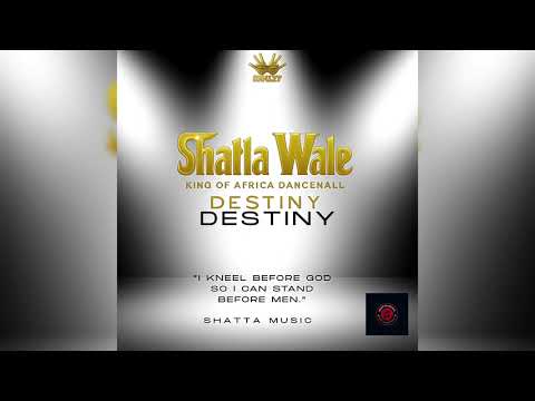 Shatta Wale - Destiny (Audio Slide)