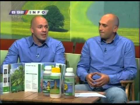 Basf vremenska prognoza za 09.06.2013.