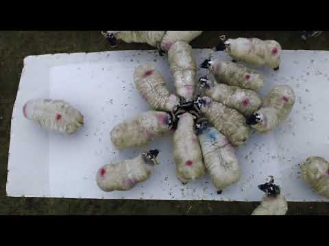 Leaning Into The Wind clip - The City