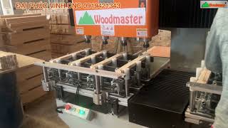 Máy Cnc mộng âm 4 đầu Woodmaster Wm-1500C4