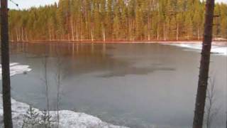preview picture of video 'Suonenjoen Lintharju marraskuussa 2009'