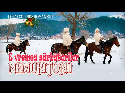NEMURITORII .🎄E vremea sarbatorilor🎄[❄COLAJ de COLINDE 2023❄]