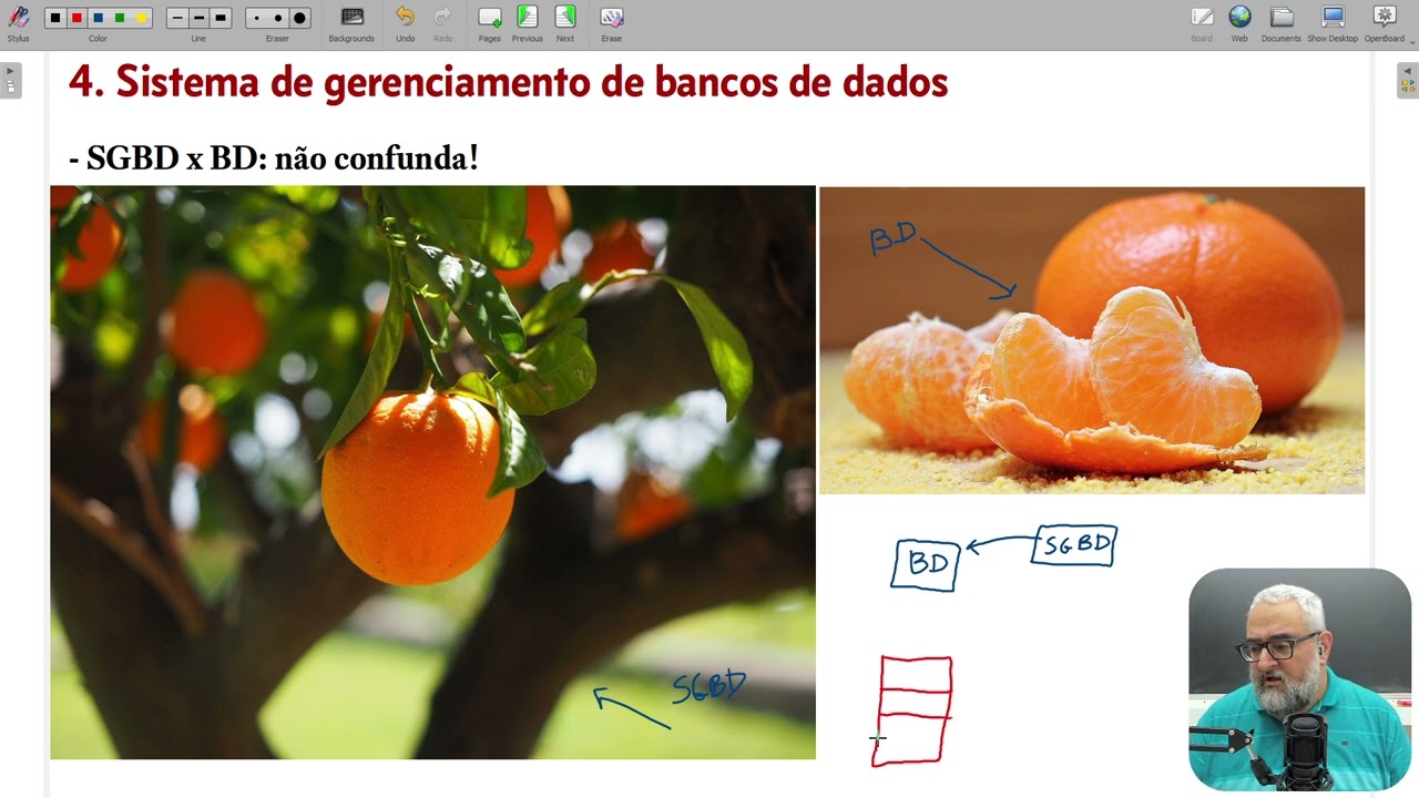 Sistema de Gerenciamento de Bancos de Dados (SGBD)