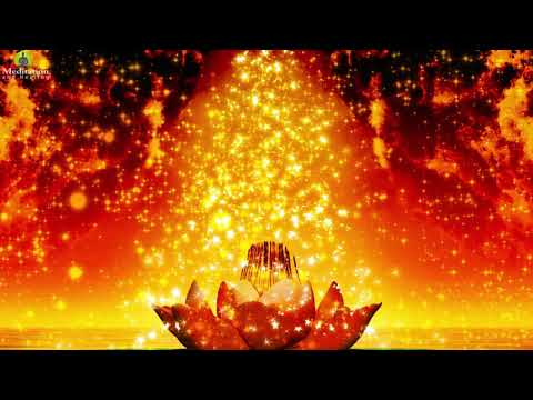 528 Hz - Attract Positive Energy & Miracle l Manifest Happiness, Peace l Clean All Negative Vibes