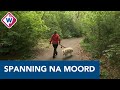 Wandelaars Scheveningse Bosjes: 'Het bos is heel leeg en je voelt een soort spanning' - OMROEP WEST