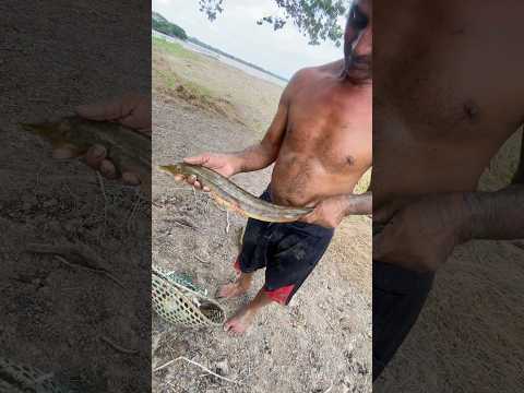 PESCARIA NO LAGO RETIRO GRANDE, CACHOEIRA DO ARARI,PÁ