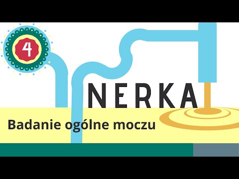 Nerka 4: Badanie ogólne moczu
