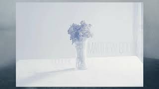 Matthew Bourne — Isogone (for Howie Reeve)