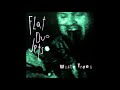 Flat Duo Jets : You Don't Love Me Anymore