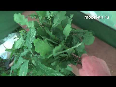 Мобиба МБ-10 с печью КЦ-3 у реки. Путешествие, источники живой воды