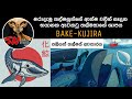 තල්මස් ආත්ම දහස් ගනනකගේ ආත්ම වල එකතුව�