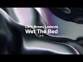 Chris Brown Ft Ludacris Wet The Bed Slowed Reverb