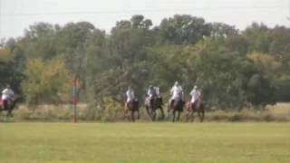 preview picture of video 'Polo Tournament, Ameritina Polo Farm, Wisconsin, USA'