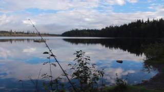 1000 REASONS - NATURE INSTRUMENTAL MUSIC