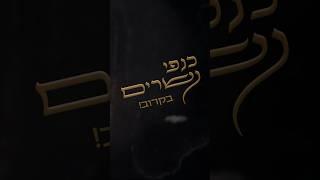 על כנפי נשרים - לחגור חגורות... ממריאים עם זאנוויל בקרוב!🦅🦅🦅
