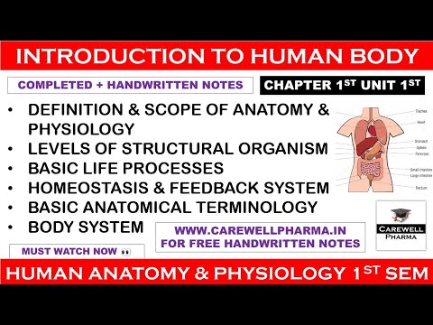 Introduction to Human Body (complete) || Ch 1 Unit 1 || hap 1st semester b pharmacy || Carewell P.