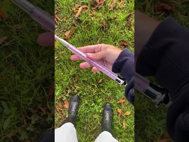 Vídeo relacionado con Ieron Fusta para Caballo Negra de 30 cm con Mango de Gel Antideslizante