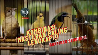 Download lagu KATEM KENARI CUNGKOK CILILIN 🔴 KOMBINASI MASTERAN PALING LENGKAP ❗️❗️UNTUK SEMUA BURUNG FIGHTER❗️❗️ mp3 Download lagu KATEM KENARI CUNGKOK CILILIN 🔴 KOMBINASI MASTERAN PALING LENGKAP ❗️❗️UNTUK SEMUA BURUNG FIGHTER❗️❗️ mp3