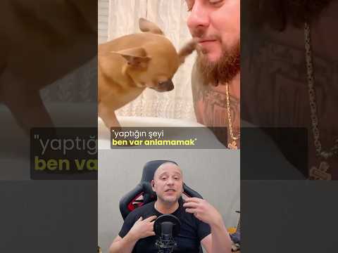 Pati Kaldırıyor #köpekadam #köpek #köpekler #pati #köpekbedendili #dogs #dogbodylanguage #dog