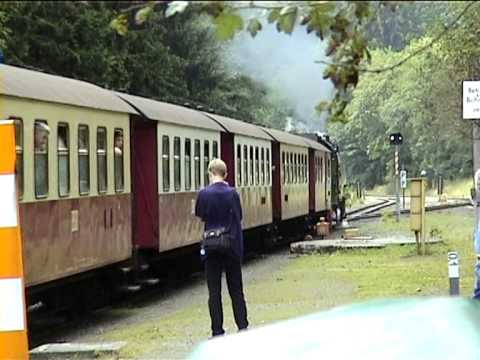 Schmalspurbahn im Harz