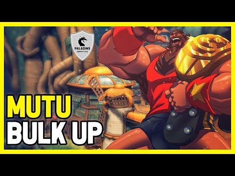 Mutu Buck Competitive (Pro Player) BULK UP