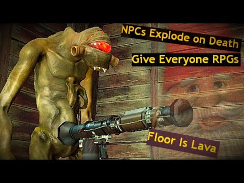 The Half Life 2 Chaos Mod. (Episode 2)