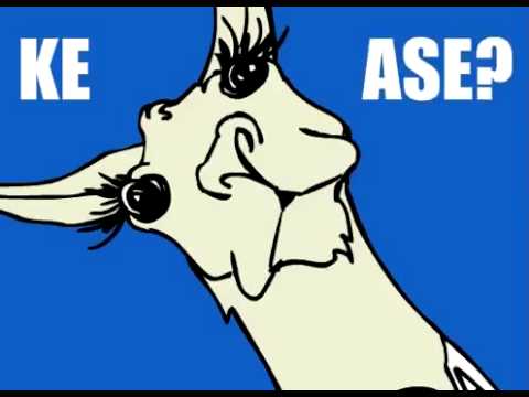 cancion de ola k ase? (Video original )