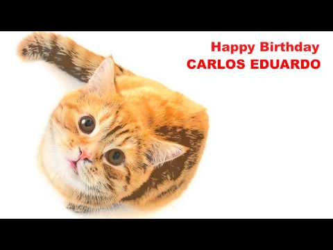 CarlosEduardo   Cats Gatos - Happy Birthday