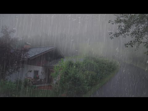 Listen for 11 Minutes - You will Fall Asleep and Relax with the Rain Sound in the Foggy Forest -ASMR