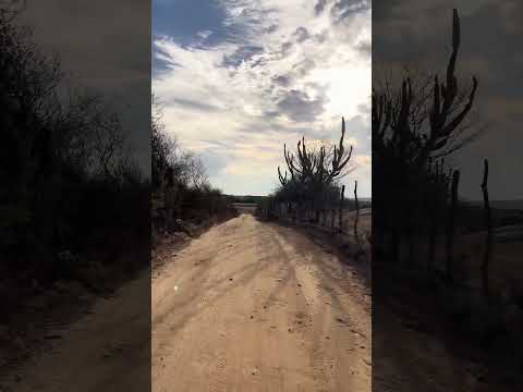 Zona rural de quixaba pe #nordeste #sertão #paisagemnatural