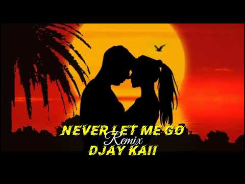 Never Let Me Go [REMIX] - Djay Kaii X Shaggy ft Tessanne Chin