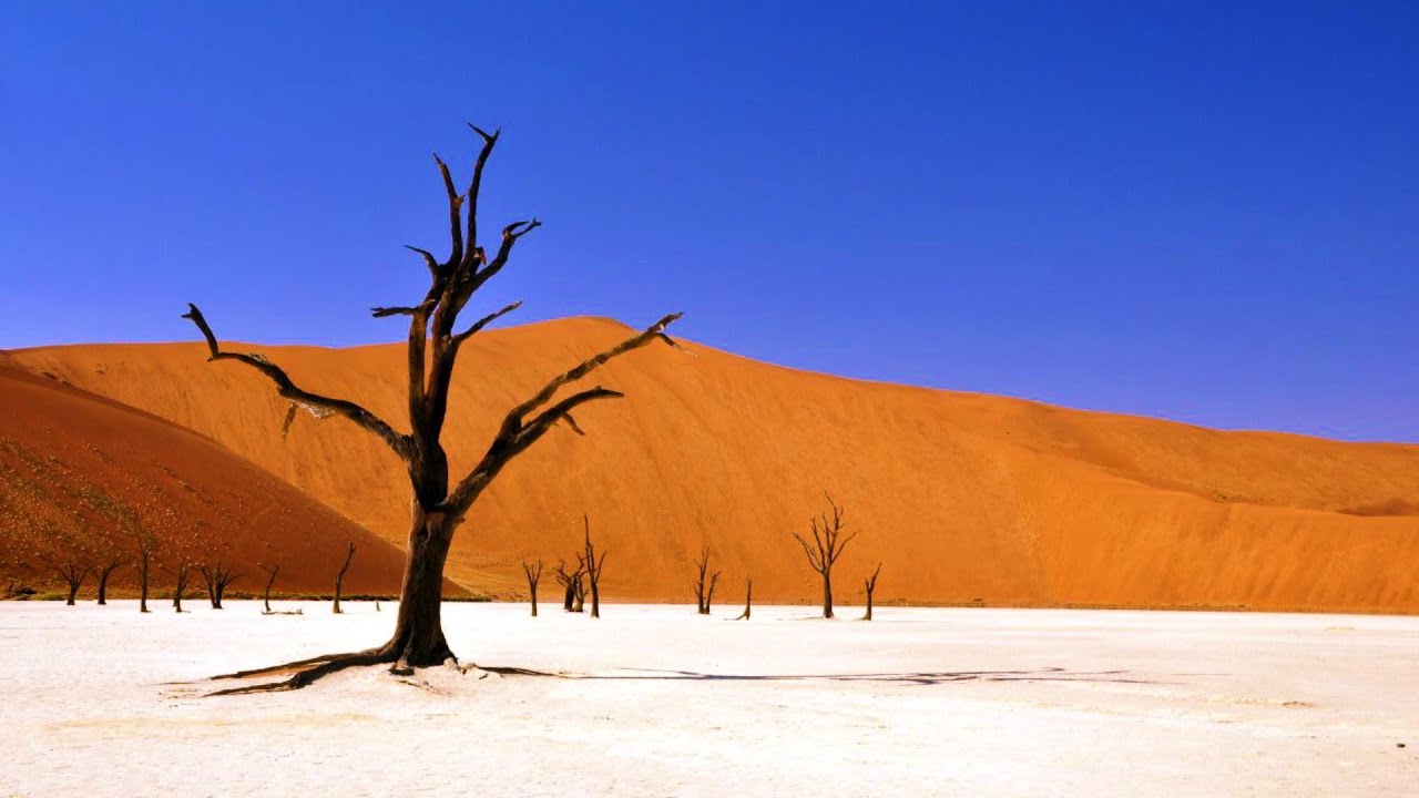 Desolate Landscape || Nature Video || Nature Hatch