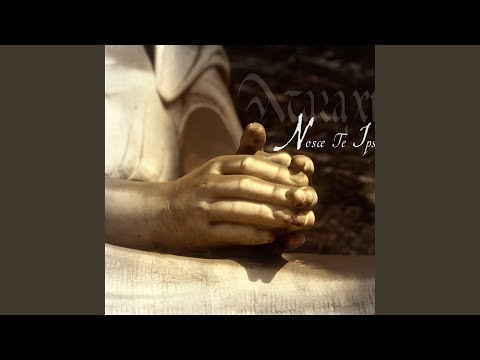 Aigues mortes video thumbnail