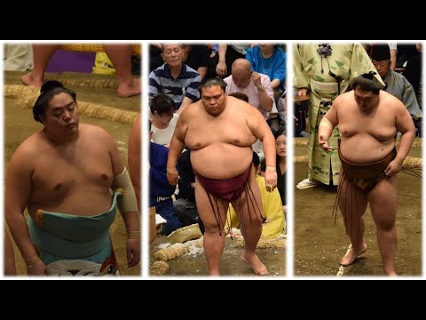 Sumo wrestler goals for 2026 + Oho & Onokatsu training reports (Sumo News, Dec 29th)