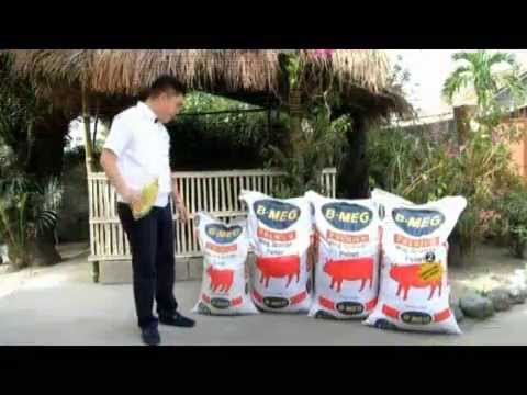 Ehersisyo para sa pagbaba ng timbang sa mga lalaki dom.usloviyah Kung paano magluto brokuli upang mawala ang timbang