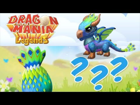 PEACOCK DRAGON NEXT DOTW + Divine Element CONFIRMED AS REAL! - DML #575