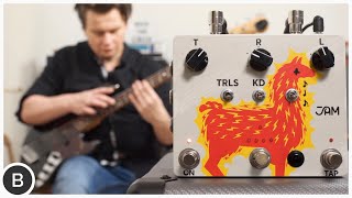 Video thumbnail for This Delay is CRAZY! (good) - Jam Pedals Delay Llama Xtreme by BassTheWorld.com