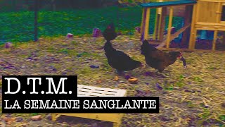 D.T.M. - La semaine sanglante