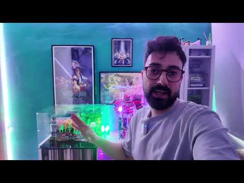 I've survived another week