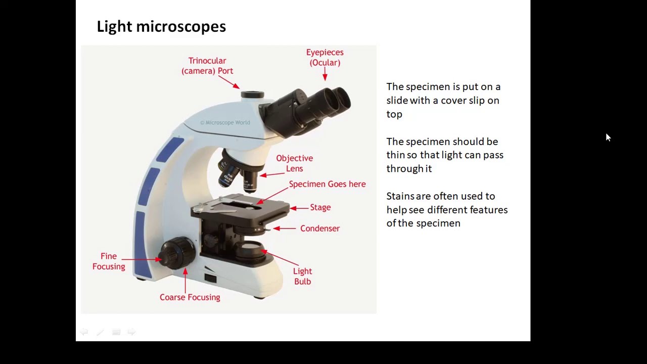 BTEC Applied Science: Unit 1 Biology Microscopes