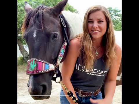 Hoof Care Tips: How to Maintain Your Horse's Feet