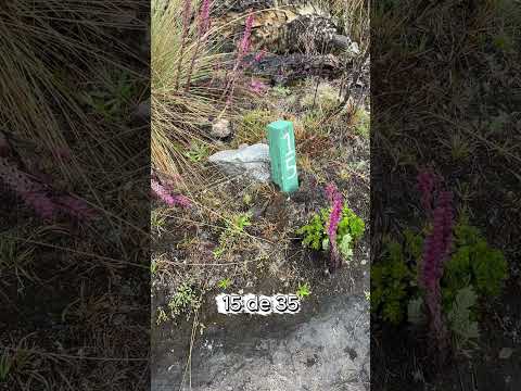 Ritacuba blanco - el cocuy