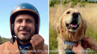 Форесто Ошейник для собак