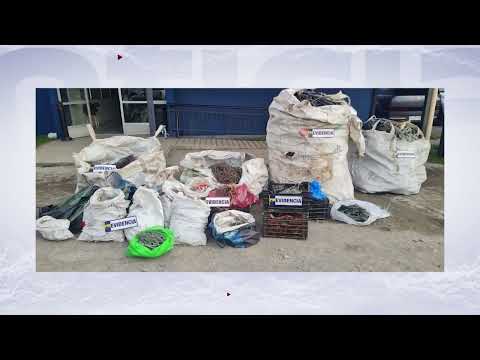 TALCAHUANO ES LA COMUNA CON MAYOR CANTIDAD DE ROBO DE CABLE DEL PAÍS, CON 6 DELITOS DIARIOS