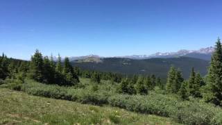 Colorado Bucket List: Shrine Ridge Wildflower Hike